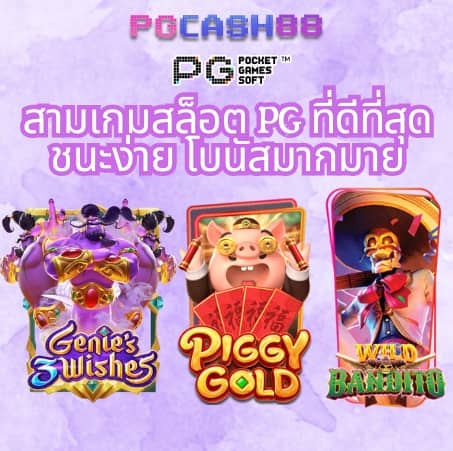 ค่ายpg